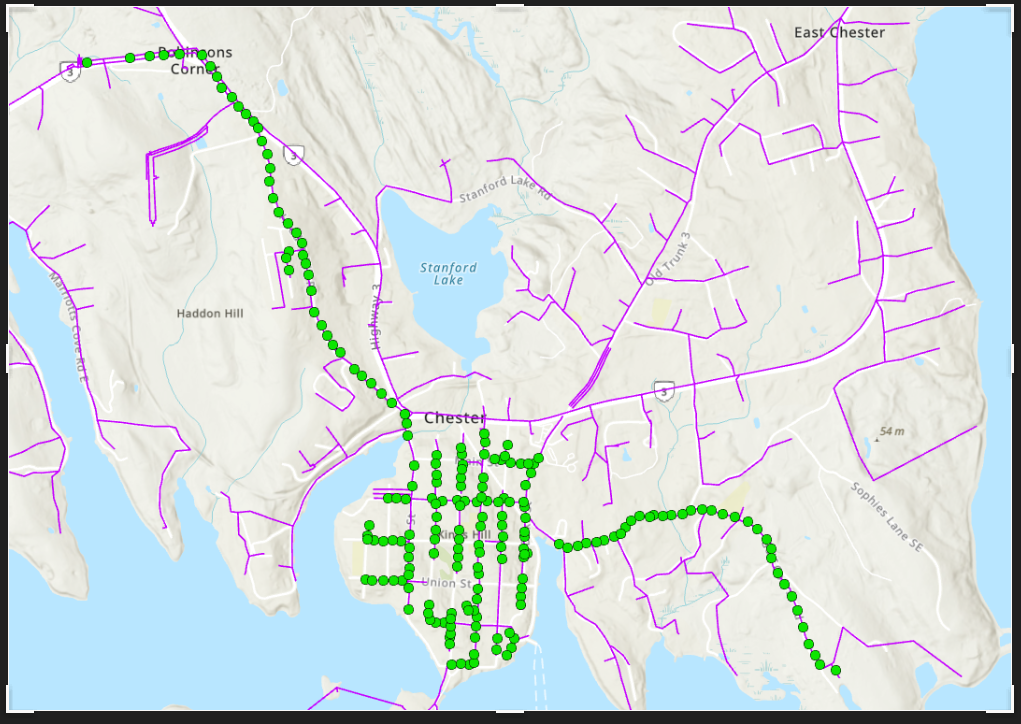 Chester Map of Vegetation Trimming